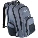 Targus RG0318 15.4 Gravity Backpack