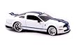 Tracksters 2007 Ford Shelby GT500