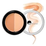 gloMinerals gloConcealer -