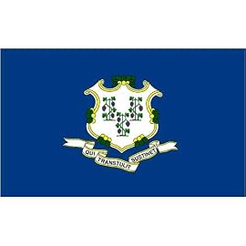 Connecticut 8ft x 12ft Nylon Flag