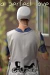 A Perfect Love: An Amish Christian Ro...