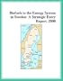 Biofuels in the Energy System in Sweden: A Strategic Entry Report, 2000 (Strategic Planning Series)