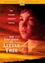 The Education of Little Tree (Widescreen)
