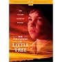 The Education of Little Tree