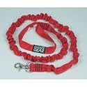 Absorber Dog Leash Asst. Color