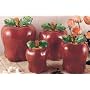 Set of 4 Apple shaped red ceramic CANISTERS country kitchen home decor NEW