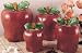 Set of 4 Apple shaped red ceramic CANISTERS country kitchen home decor NEW