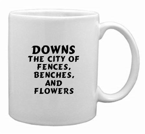 Downs: The City Of Fences, Benches, And Flowers Mug