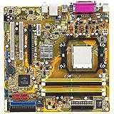 Asus M2NBP-VM CSM Socket AM2 NVIDIA Quadro NVS 210S Micro ATX AMD Motherboard