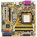 Electronics : Asus M2NBP-VM CSM Socket AM2 NVIDIA Quadro NVS 210S Micro ATX AMD Motherboard