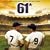 61*