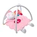 Zapf Creation Baby Annabell Gym (761786)