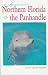 Books : Adventure Guide to Northern Florida & the Panhandle (Adventure Guide Series)
