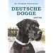 Deutsche Dogge heute