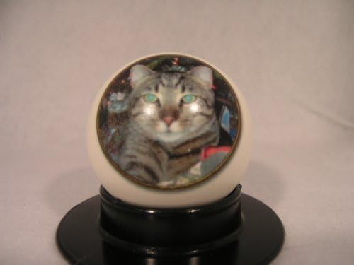 YOUR PHOTO Pet Ball 3" Size. Great for game balls, gifts, coaches, players, fans, awards, contests, graduations, seniors, leagues, high school, college, varsity, holidays, parents, trophies, clubs. Print pictures, individuals, pets, logos.