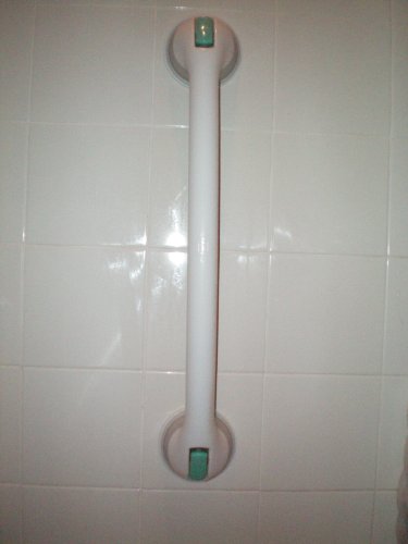 Improving Lifestyles Suction Grab Bar 24 Inch