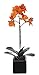 House of Silk Flowers Artificial 17-Inch Phalaenopsis Orchid, Mini, Paprika Orange