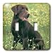 Dogs Labrador Retriever - Chocolate Labrador Retriever - Light Switch Covers - double toggle switch