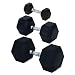 Champion Barbell 50 lbs. Rubber Encased Solid Hex Dumbells