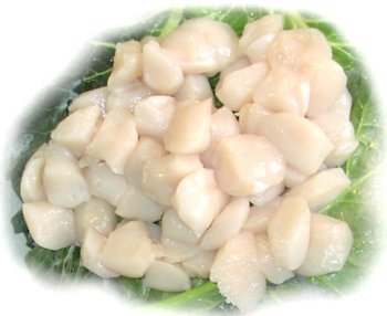 2 lbs. Sea Scallops by Charleston Seafood
