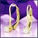 14K .25 CTW Diamond Leverback Earrings