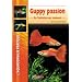Guppy passion - De l'initiation aux concours