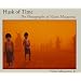 Husk of Time: The Photographs of Victor Masayesva (Sun Tracks)