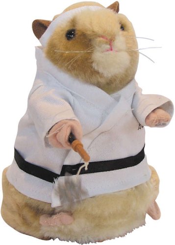 Childrens Toyshop  Electronics : Kung Fu Hamster