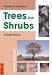 Field Guide to Common Trees and Shrubs of East Africa (Field Guide)