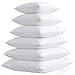 1- New Pillow Insert Form 20 X 20 Hypo-allergenic Square Pillow Form Insert Made in USA