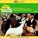 Pet Sounds