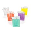 Small Pastel Gift Bags (1 dz)
