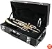 LJ Hutchen Bb Trumpet with Case- 2 Year Warranty