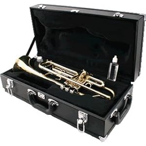 LJ Hutchen Bb Trumpet with Plush
