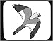Decorated Mouse Pad with falcon, hawk, flying, gray, kestrel