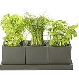Review Heals  / Galvanised Herb Pots