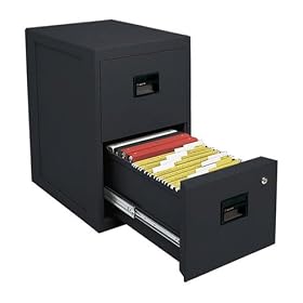 Sentry Fire-Safe 2-Drawer Insulated Vertical File