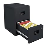 Sentry 6000 Black Safe 1 Hour Fireproof Two Drawer Office File, 2.38 Cubic Feet, Black