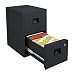 Sentry 6000B 17-1/4 by 23-1/4 by 28-Inch Fire-Safe 2-Drawer Insulated Vertical File, Black