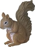 RSPCA Red SquirrelIMAGE