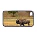 Buffalo bison Apple iPhone 4 or 4s Case / Cover Verizon or At&T Phone Great Gift Idea