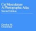 Cat Musculature: Workbk: A Photographic Atlas