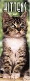Kittens Slimline 2006 Calendar