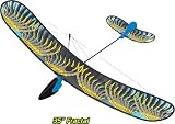 X-TREME WINGS �֥롼�ե饯����