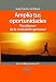 Ampl&Atilde;&shy;a tus oportunidades: Paradigmas de la motivaci&Atilde;&sup3;n personal (Spanish Edition)