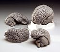Budget Smart Brain Model 3 Parts