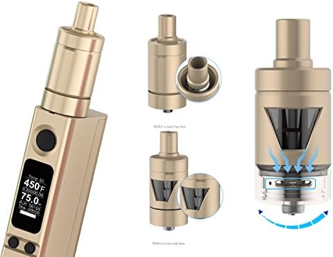 Joyetech Evic VTC Mini 75tc with Tron-s (Gold)