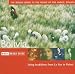 Rough Guide: Bolivia