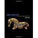 A Few Books on Archaeology , Prehistory, and Ancient Civilizations