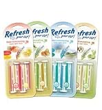 Refresh Your Car_ DUAL SCENT VENT STICKS